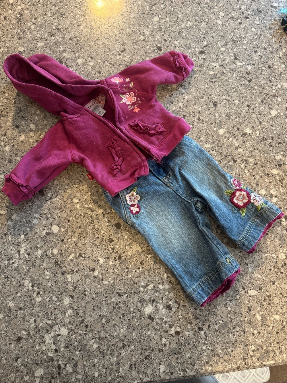 Levi’s Baby Girl 3-6M Floral Embroidered Hoodie Jeans Set